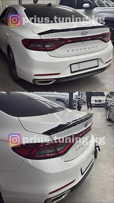 gra: Декоративные накладки На зеркала, Пластик, Hyundai, Новый, Самовывоз, Платная доставка — 5