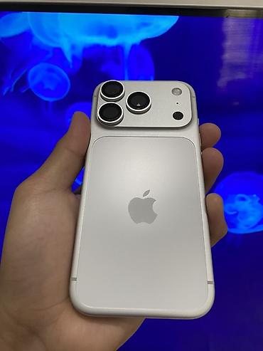 Apple iPhone: IPhone 17 Pro, Б/у, 256 ГБ, Серебристый, Зарядное устройство, Защитное стекло, Чехол, 100 % — 2