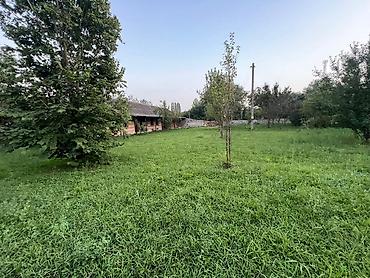Torpaq sahələrinin satışı: 41 sot, Kənd təsərrüfatı, Kupça (Çıxarış) — 11