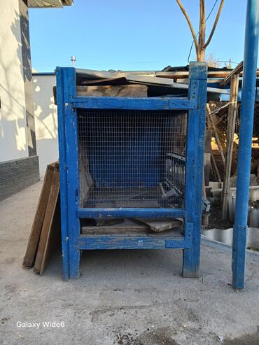 круглосуточный зоомагазин бишкек: Срочна сатылат Тоок бакан уйя сатылат адреси кудайбергенде салтанат