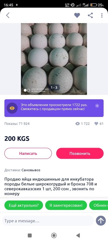 индюшата бронза 708 купить: Продаю | Инкубационные яйца | Для разведения