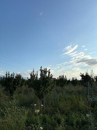 срочные продажи: 30 соток, Для сельского хозяйства — 3
