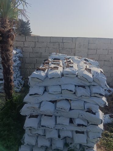 Torf: Torf gubresinn satşi cox aln endirm var — 17