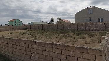 samaxida torpaq satilir: 11 sot, Mülkiyyətçi, Kupça (Çıxarış) — 1
