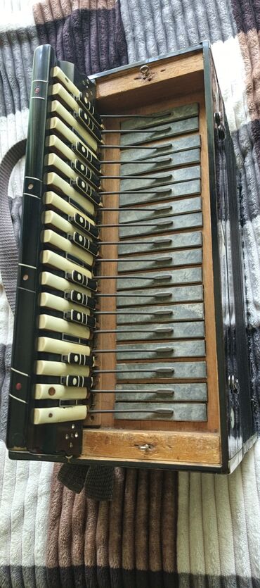 Qarmonlar: Qarmon, Akustik, İşlənmiş, Ünvandan götürmə — 5