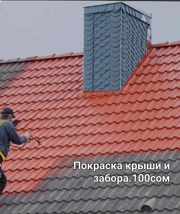 красит крышу: Покраска и защита металлических кровель и фасадного камня — 4