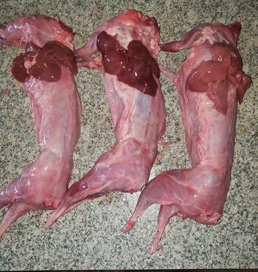 dovşan əti: Catdirilma elave odenisle var.temiz dovsan eti satilir faydasi-