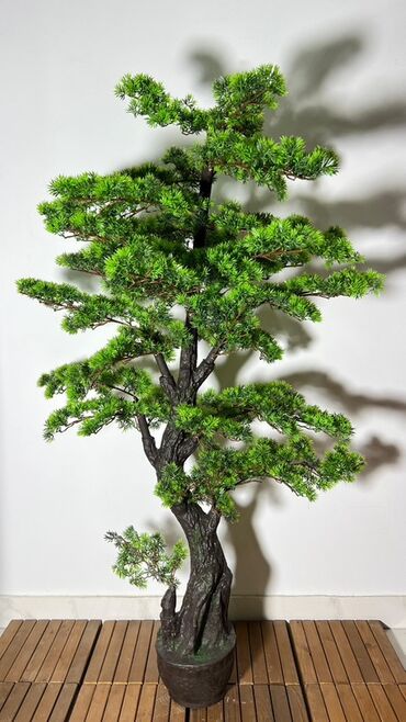 Süni güllər: Süni bonsai ağacı – dekorativ içməkan yaşıllaşdırma üçün - Realistik — 3