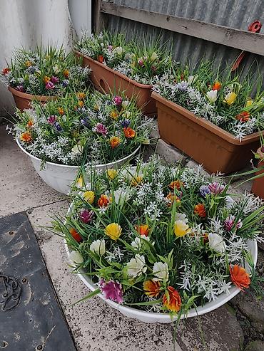 Коляски: Детская прогулочная коляска - Тип: трость/прогулочная коляска - Цвет — 3