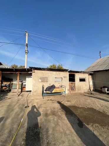 Продажа домов: Дом, 12 м², 4 комнаты, Собственник, Косметический ремонт at lalafo.kg — 18 Продажа домов: Дом, 12 м², 4 комнаты, Собственник, Косметический ремонт — 18