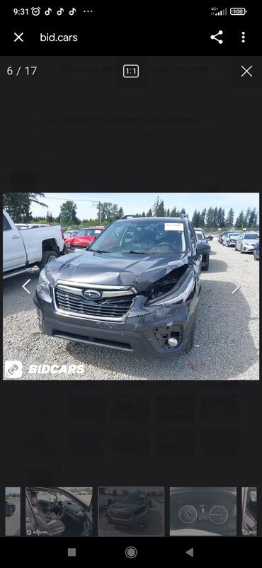 Subaru: Subaru Forester: 2019 г., 2.5 л, Вариатор, Бензин, Кроссовер — 8