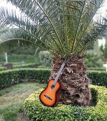 valencia gitara: Klassik gitara 🏷️Valencia VC 264 CSB 💵Qiymət: 140 azn Mağazamız — 1