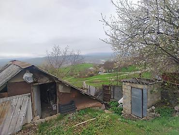 Torpaq sahələrinin satışı: Kənd təsərrüfatı — 4