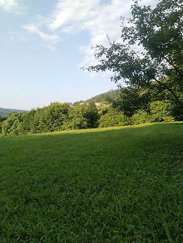 Torpaq sahələrinin satışı: 92 sot, Biznes üçün, Mülkiyyətçi, Kupça (Çıxarış), Bələdiyyə, Müqavilə — 2