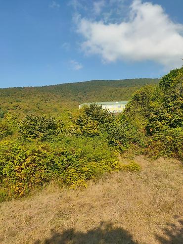 bina az buzovna: Tikinti, Mülkiyyətçi, Kupça (Çıxarış) — 1