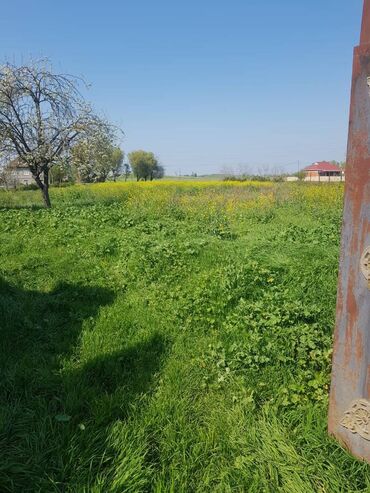 Həyət evləri və villaların satışı: 5 otaqlı, 251 kv. m, Kredit yoxdur, Təmirsiz — 10