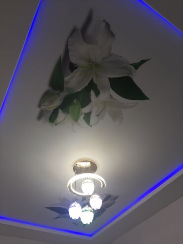 Натяжной потолок: Натяжной потолок Глянцевое, Матовое, 3D потолки Гарантия — 14