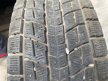 Зимняя шина Dunlop (липучка), модель Winter Maxx SJ8