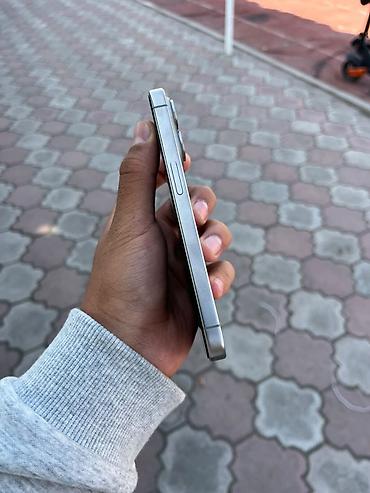 pro max: IPhone 15 Pro, Б/у, 128 ГБ, Natural Titanium, Кабель, 89 % — 3