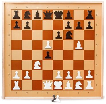 Пищевые контейнеры и ланч-боксы: ♟️ Демонстративная Шахматная Доска♟️ ♟️Магнитная Доска♟️ 🤍Размер —