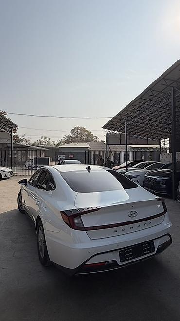 honda accort: Hyundai Sonata: 2022 г., 2 л, Автомат, Газ, Седан — 2