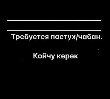 работа на сто: Требуется Пастух, Оплата Ежемесячно, Форма at lalafo.kg работа на сто: Требуется Пастух, Оплата Ежемесячно, Форма