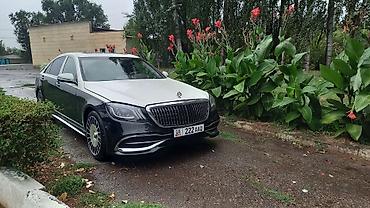 Частная аренда авто: Свадебный кортеж, лексусы, Майбах, мерсы 222, мерсы 221, хаммеры — 5