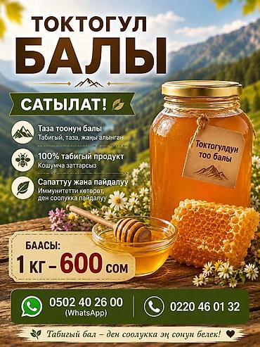 бишкек чаек: Токтогульский горный мёд - Натуральный, свежий, без добавок - 100% — 3