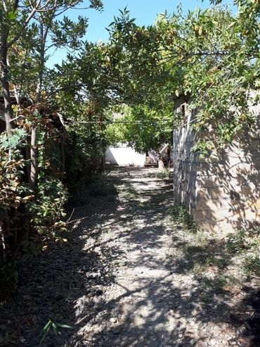 mingecevirde 2 otaqli evlerin qiymeti: Mingəçevir, 3 otaqlı, Köhnə tikili, 40 kv. m