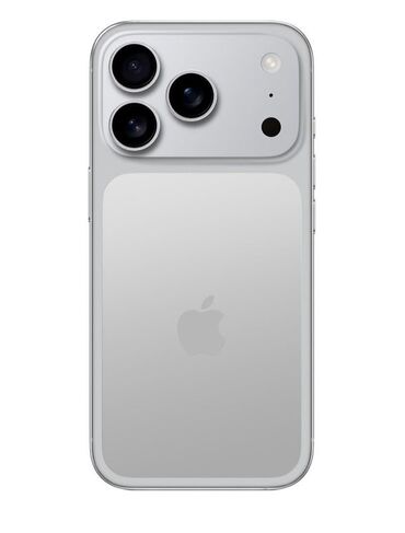 Apple iPhone: IPhone 16 Pro Max