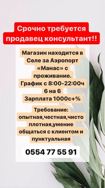 работу продавец консультант: Сатуучу консультант