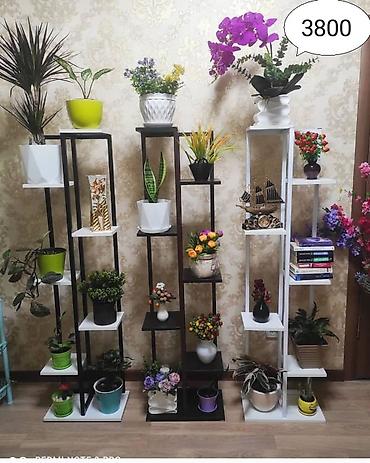 Тележки-органайзеры на колесах: Этажерки/стеллажи для комнатных растений - Дизайн: современные — 12