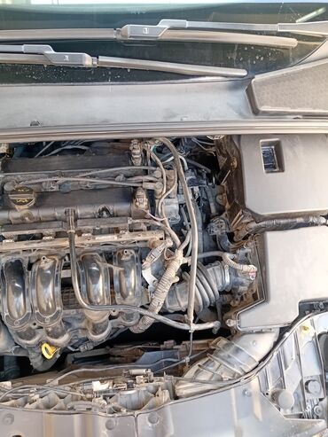 Digər avtomobil ehtiyat hissələri: Ford Focus II (2004–2011) üçün ehtiyat hissələri Maşın tam sökülüb — 10