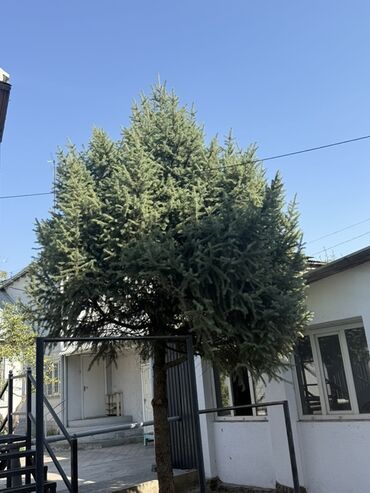 Отели и хостелы: Добро пожаловать в «Алма» Уютный и современный хостел в самом сердце — 18