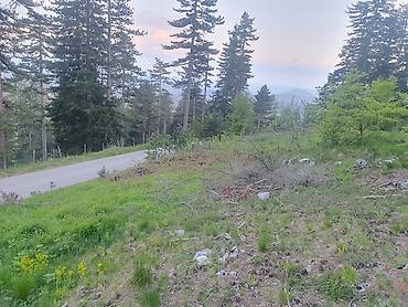 kuce na selu: Na prodaju plac 11.3 ari na Zlatiboru pored asfaltnog puta udaljenosti — 3