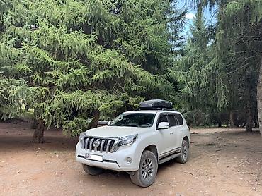 ремонт приусов: Toyota Land Cruiser Prado: 2012 г., 4 л, Автомат, Бензин, Внедорожник — 7