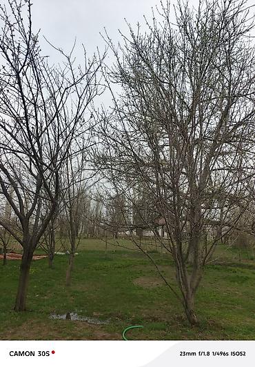 Долгосрочная аренда комнат: Сдаётся уютная меблированная комната/квартира с отдельной спальней и — 16