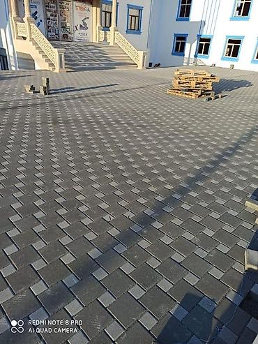 solon maları: Öz şesxsi zavod mallarimizdir artiq söze ehtiyac yoxdur mehsular — 1