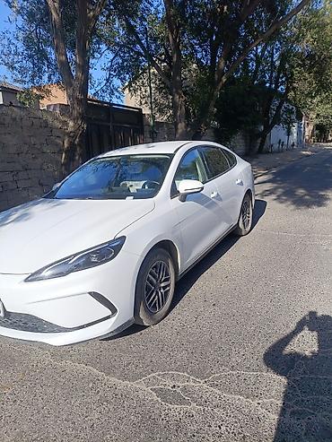 byd ilkin odənişsiz: Salam. masin 2025 ci il byd seal. 40 min yurus. qeti sekilde problemi — 4