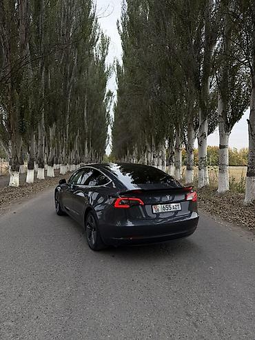 Tesla: Tesla Model 3: 2018 г., 0.1 - engine capacity л, Автомат, Электромобиль, Седан lalafo.kg да — 2 Tesla: Tesla Model 3: 2018 г., 0.1 - engine capacity л, Автомат, Электромобиль, Седан — 2