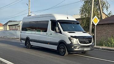 sprinter rex: Mercedes-Benz Спринтер: 2007 г., 2.9 л, Механика, Дизель, Бус — 2