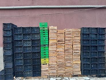 картон: Məhsul: Plastik tərəvəz-meyvə yeşikləri və karton qutular Təsvir: - — 6