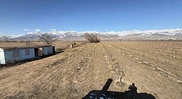 Продажа участков: 80 соток, Для сельского хозяйства — 9