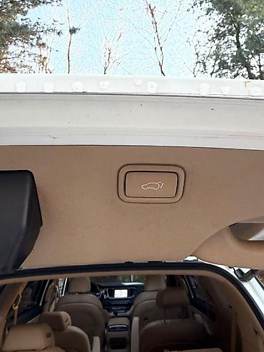 Kia: Kia Carnival: 2019 г., 2.2 л, Автомат, Дизель, Минивэн — 20