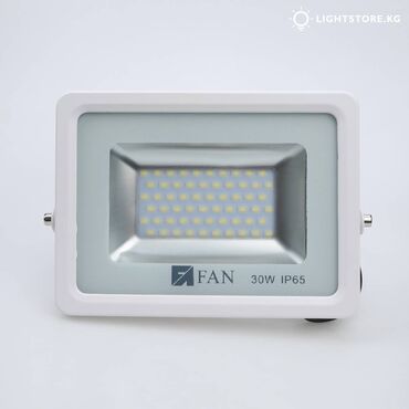 30w: Светодиодный прожектор FAN 30W 6000K 2700Lm IP65 белый Мощность: 30W