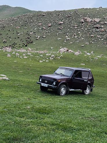Продажа авто: ВАЗ (ЛАДА) 4x4 Нива: 2007 г., 1.7 л, Механика, Бензин, Внедорожник — 1
