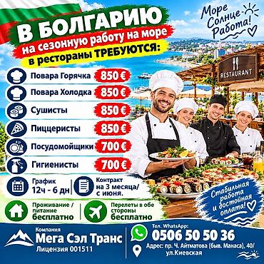 работа с животными вакансии: Работа - Болгария, Отели, кафе, рестораны, 1-2 года опыта, Мед. страхование — 1