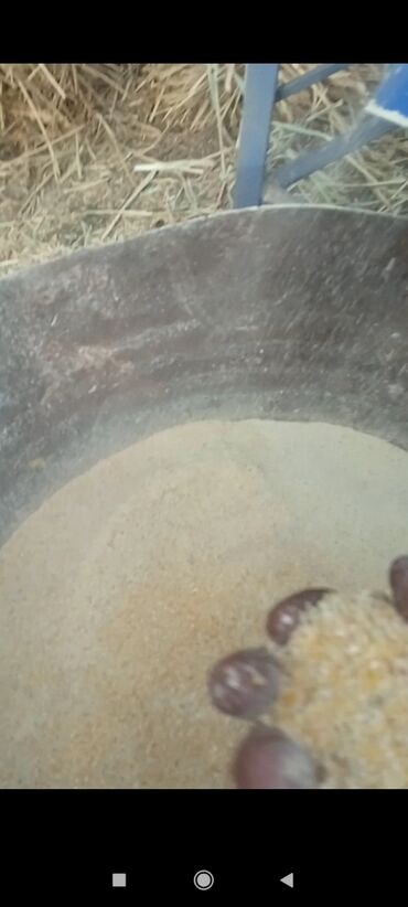 Кормодробилки: Дробилка: Дробилки универсальные Дробилки для сено Дробилки для зерно — 6