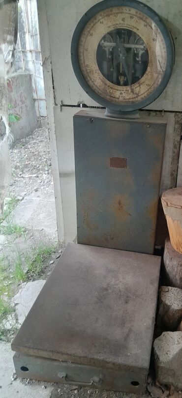 biogellər, dırnaqlar və kutikul üçün vasitələr: Tərəzi (Qapan)