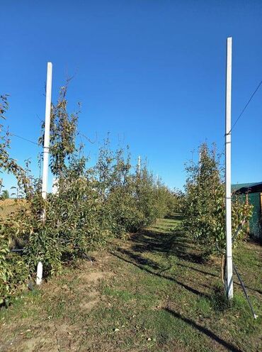 Prodaja zemljišta: Poljoprivredno zemljište — 8
